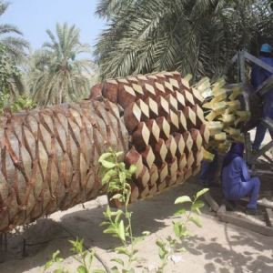 Diguised Cell Towers pagasiruumi