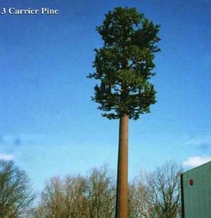 Camouflaged Pine Tree Tower Monopole